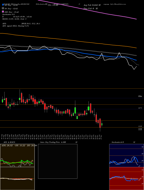 Compuage Info. COMPINFO Support Resistance charts Compuage Info. COMPINFO NSE