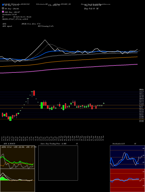 Dynamic Srvcs & Sec Ltd DYNAMIC_SM Support Resistance charts Dynamic Srvcs & Sec Ltd DYNAMIC_SM NSE