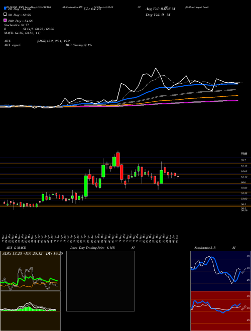 Gallantt Ispat Limited GALLISPAT Support Resistance charts Gallantt Ispat Limited GALLISPAT NSE