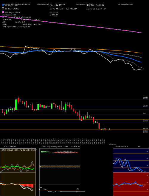 Indraprastha Gas Limited IGL Support Resistance charts Indraprastha Gas Limited IGL NSE