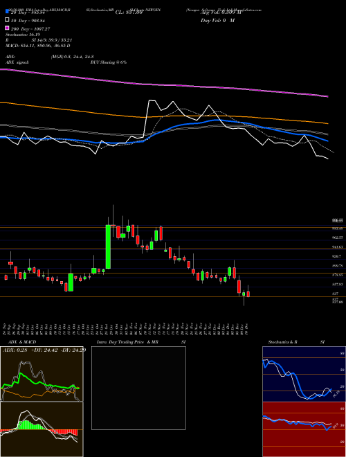 Newgen Software Tech Ltd NEWGEN Support Resistance charts Newgen Software Tech Ltd NEWGEN NSE