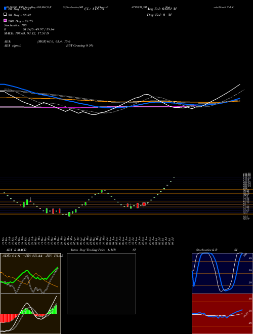 Pattech Fitwell Tub Com L PATTECH_SM Support Resistance charts Pattech Fitwell Tub Com L PATTECH_SM NSE