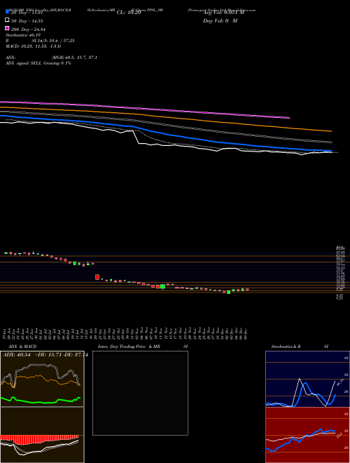 Picturepost Studios Ltd PPSL_SM Support Resistance charts Picturepost Studios Ltd PPSL_SM NSE