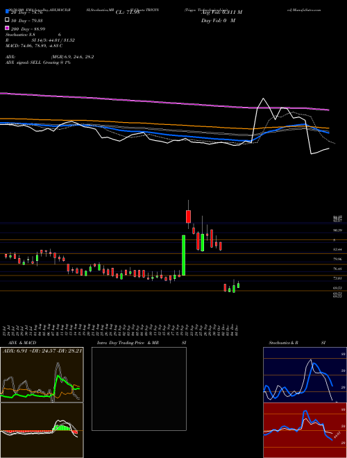 Trigyn Technologies Limited TRIGYN Support Resistance charts Trigyn Technologies Limited TRIGYN NSE