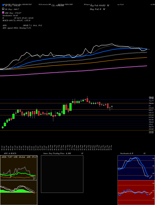 Welspun Corp Limited WELCORP Support Resistance charts Welspun Corp Limited WELCORP NSE