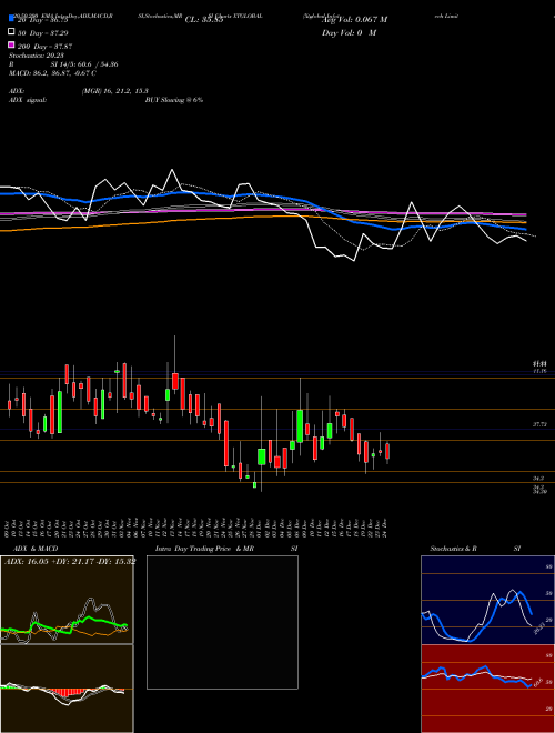 Xtglobal Infotech Limited XTGLOBAL Support Resistance charts Xtglobal Infotech Limited XTGLOBAL NSE