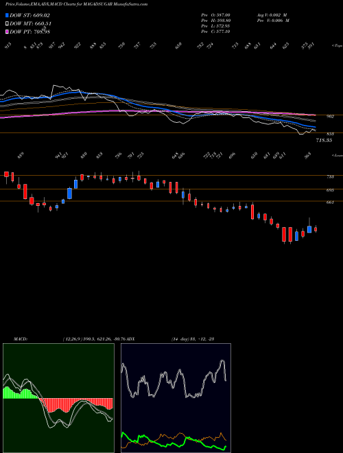 MACD charts various settings share MAGADSUGAR Magadh Sugar & Energy Ltd NSE Stock exchange 