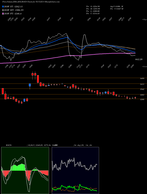 Munafa Nucleus Software Exports Limited (NUCLEUS) stock tips, volume analysis, indicator analysis [intraday, positional] for today and tomorrow