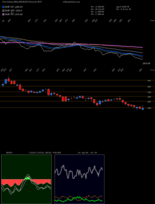 Munafa Rupa & Company Limited (RUPA) stock tips, volume analysis, indicator analysis [intraday, positional] for today and tomorrow