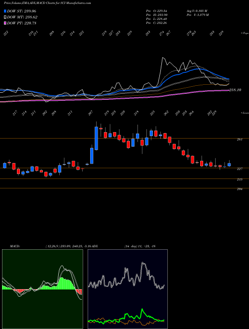 Munafa Shipping Corporation Of India Limited (SCI) stock tips, volume analysis, indicator analysis [intraday, positional] for today and tomorrow