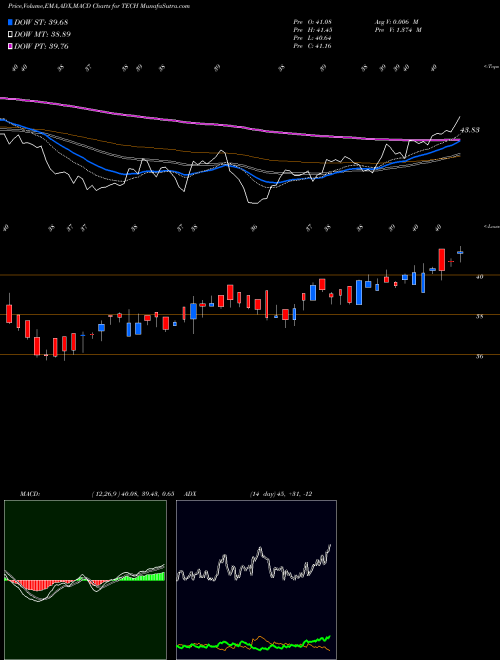 Munafa Birlaslamc - Tech (TECH) stock tips, volume analysis, indicator analysis [intraday, positional] for today and tomorrow