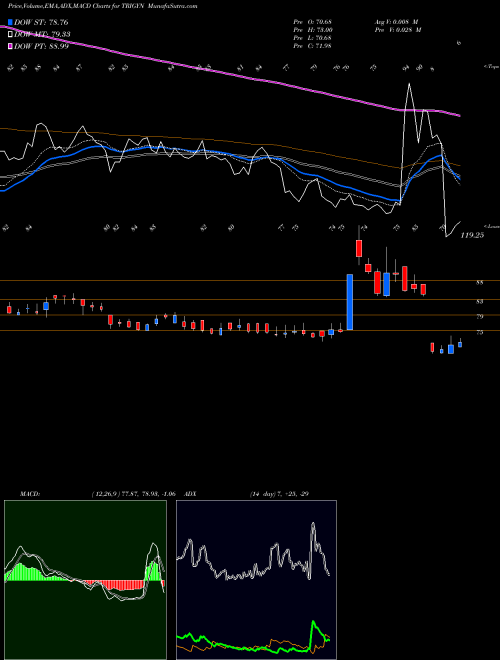 Munafa Trigyn Technologies Limited (TRIGYN) stock tips, volume analysis, indicator analysis [intraday, positional] for today and tomorrow