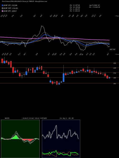 MACD charts various settings share TRIGYN Trigyn Technologies Limited NSE Stock exchange 