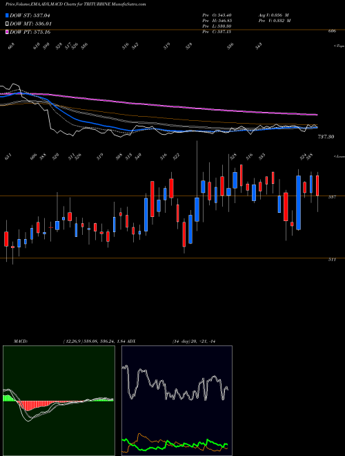 Munafa Triveni Turbine Limited (TRITURBINE) stock tips, volume analysis, indicator analysis [intraday, positional] for today and tomorrow