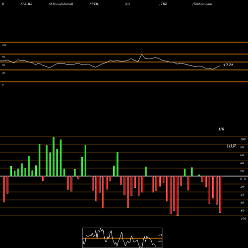 RSI & MRSI charts Tribhovandas Bhimji Zaveri Limited TBZ share NSE Stock Exchange 