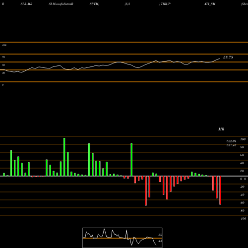 RSI & MRSI charts Shree Tirupati Balajee TIRUPATI_SM share NSE Stock Exchange 