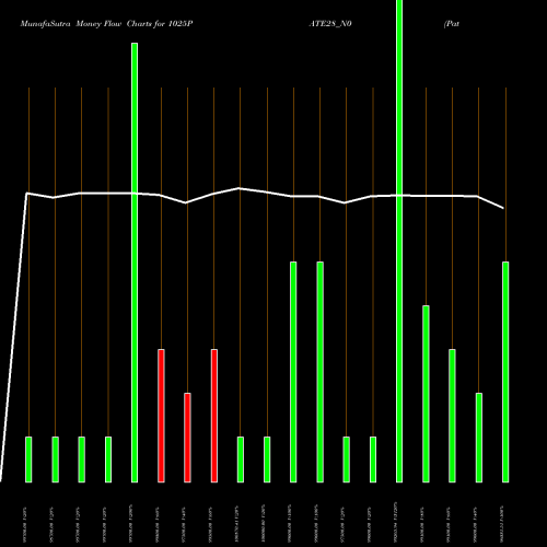 Money Flow charts share 1025PATE28_N0 Pate 10.25% 2028 NSE Stock exchange 
