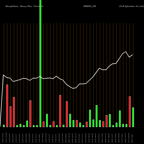 Money Flow charts share BIRDYS_SM Grill Splendour Ser Ltd NSE Stock exchange 