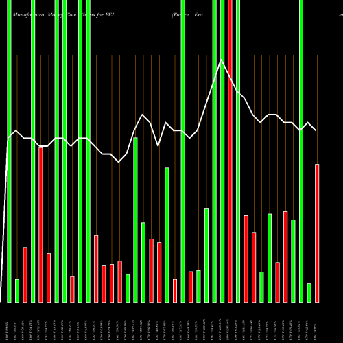 Money Flow charts share FEL Future Enterp. NSE Stock exchange 