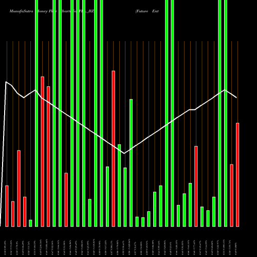 Money Flow charts share FEL_BZ Future Enterprises Ltd NSE Stock exchange 