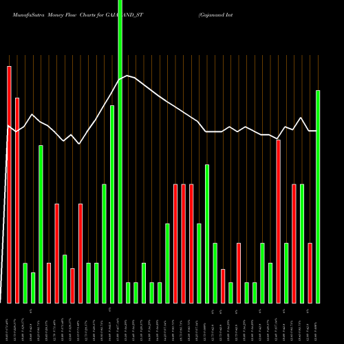 Money Flow charts share GAJANAND_ST Gajanand International L NSE Stock exchange 