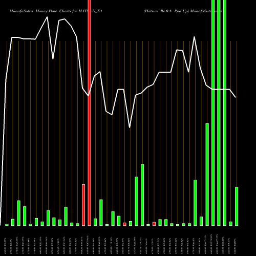 Money Flow charts share HATSUN_E1 Hatsun Re.0.8 Ppd Up NSE Stock exchange 