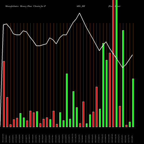 Money Flow charts share PAEL_BZ Pae Limited NSE Stock exchange 