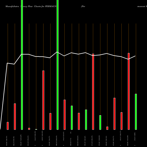 Money Flow charts share PERMAGN Permanent Magnets Ltd. NSE Stock exchange 