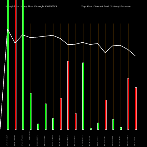 Money Flow charts share PNGSREVA Pngs Reva Diamond Jewel L NSE Stock exchange 