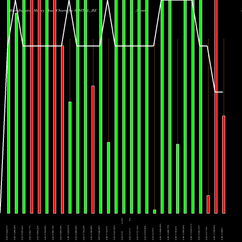 Money Flow charts share SAMTEL_BZ Samtel Color Ltd NSE Stock exchange 