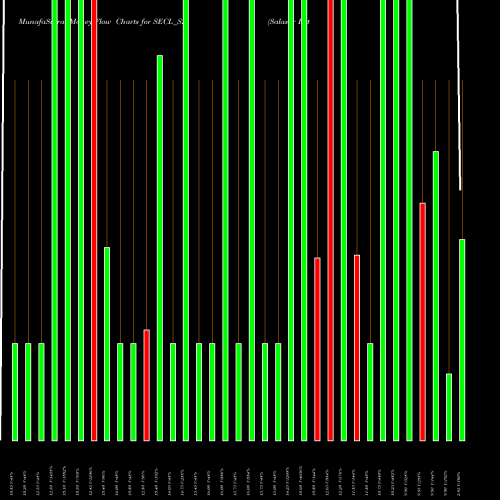 Money Flow charts share SECL_SZ Salasar Exterior Cont Ltd NSE Stock exchange 