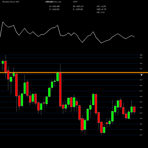 Monthly charts share BERGEPAINT Berger Paints (I) Limited NSE Stock exchange 