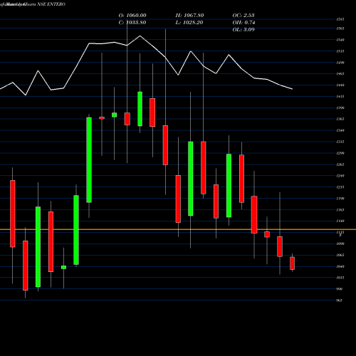 Monthly charts share ENTERO Entero Healthcare Solu L NSE Stock exchange 