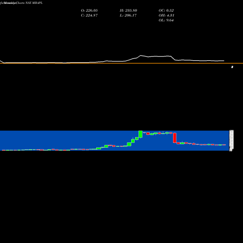 Monthly charts share MBAPL M B Agro Prod. NSE Stock exchange 