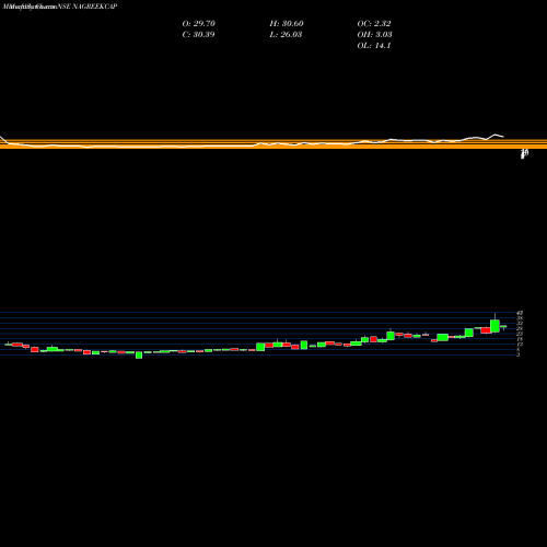 Monthly charts share NAGREEKCAP Nagreeka Capital & Infrastructure Limited NSE Stock exchange 