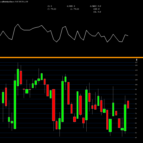 Monthly charts share RICHA_SM Richa Info Systems Ltd NSE Stock exchange 