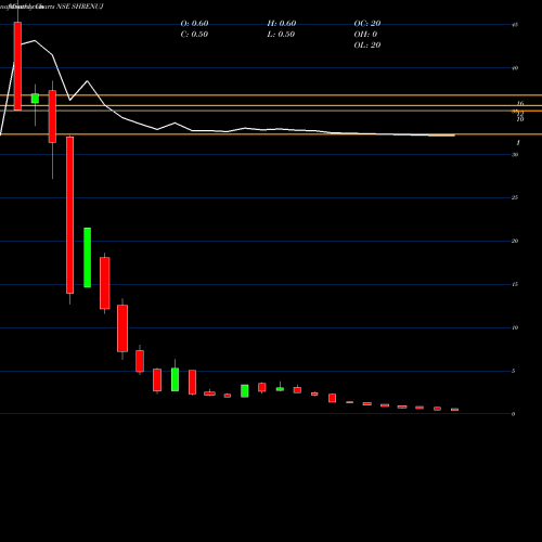 Monthly charts share SHRENUJ Shrenuj & Company Limited NSE Stock exchange 