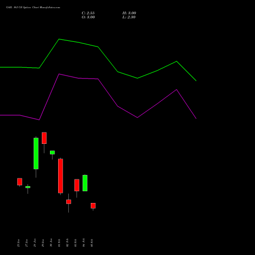 GAIL 163 CE (CALL) 24 February 2026 options price chart analysis GAIL (India) Limited 
