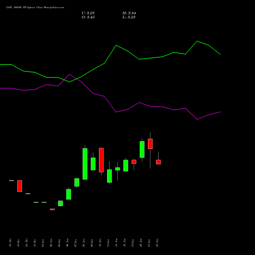 GAIL 160.00 PE (PUT) 24 February 2026 options price chart analysis GAIL (India) Limited 