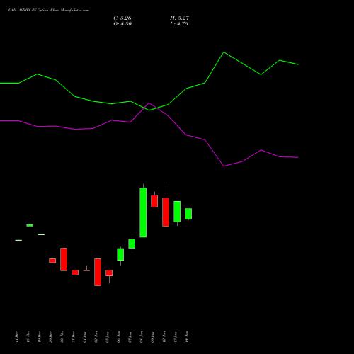 GAIL 165.00 PE (PUT) 24 February 2026 options price chart analysis GAIL (India) Limited 