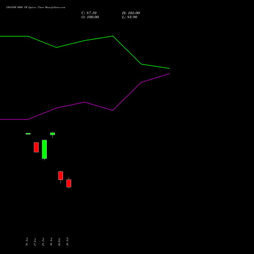 GRASIM 3000 PE (PUT) 24 February 2026 options price chart analysis Grasim Industries Limited 