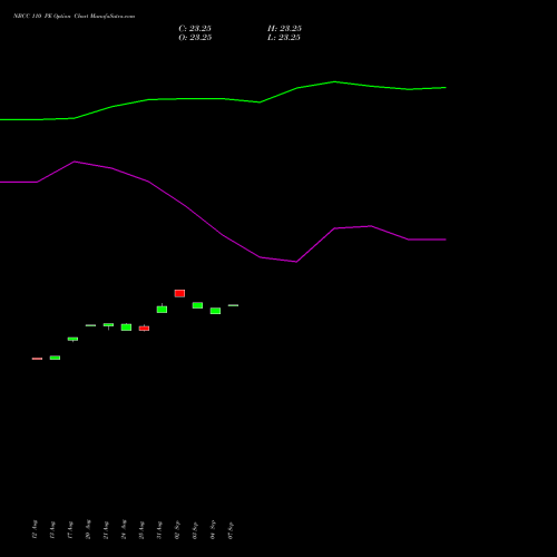 NBCC 110 PE (PUT) 29 September 2026 options price chart analysis National Buildings Construction Corporation Limited 