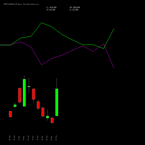 NIFTY 23050.00 PE (PUT) 06 October 2026 options price chart analysis Nifty 50 