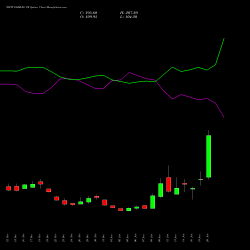 NIFTY 24900.00 PE (PUT) 24 February 2026 options price chart analysis Nifty 50 