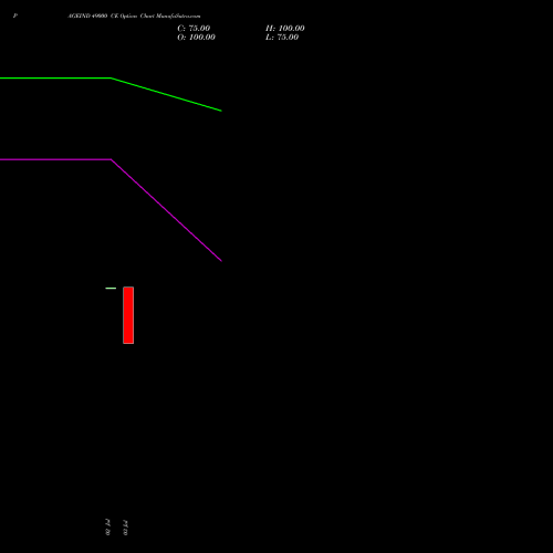 PAGEIND 49000 CE (CALL) 28 July 2026 options price chart analysis Page Industries Limited 