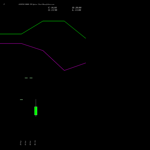 PAGEIND 30000 PE (PUT) 27 October 2026 options price chart analysis Page Industries Limited 