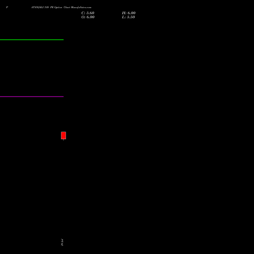 PATANJALI 310 PE (PUT) 29 September 2026 options price chart analysis Patanjali Foods Limited 