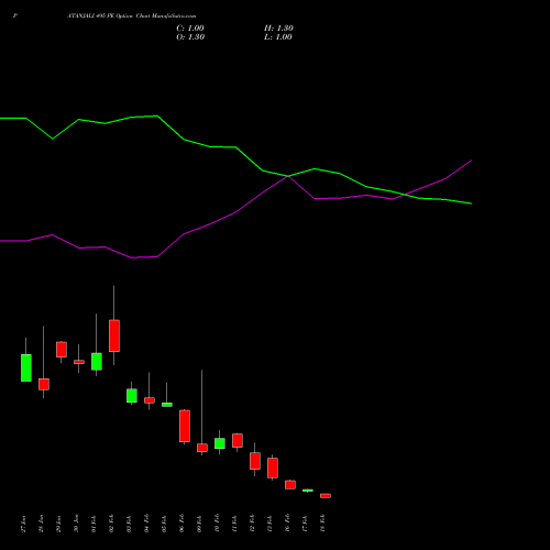 PATANJALI 495 PE (PUT) 24 February 2026 options price chart analysis Patanjali Foods Limited 