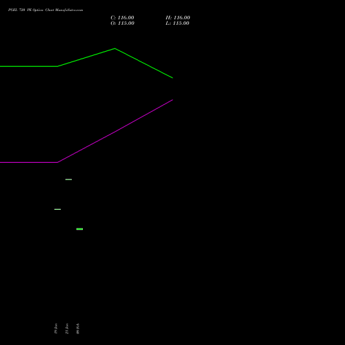 PGEL 720 PE (PUT) 24 February 2026 options price chart analysis PG Electroplast Limited 