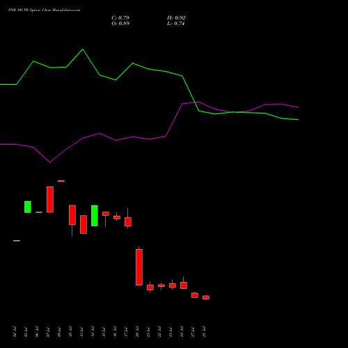 PNB 105 PE (PUT) 25 August 2026 options price chart analysis Punjab National Bank 